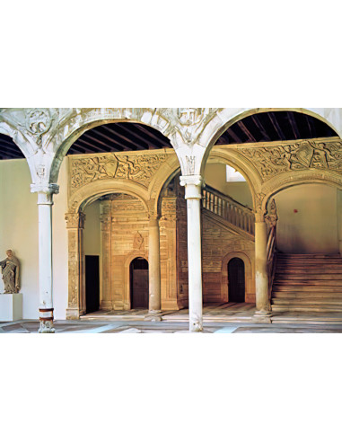 Arquitectura isabelina y plateresca.  eBook