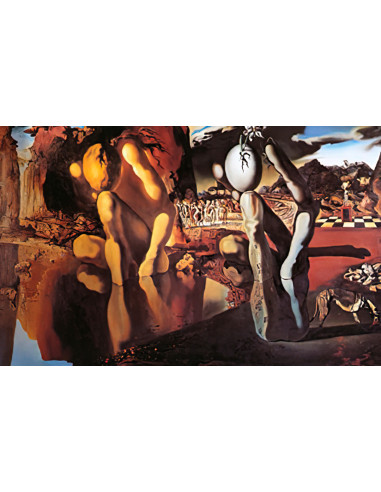 Salvador Dalí  eBook