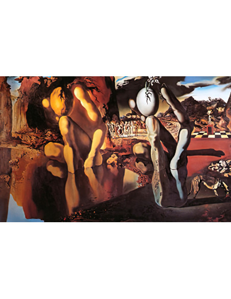 Salvador Dalí  eBook