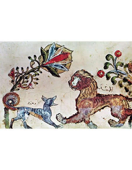 Expansión del Islam a partir del Siglo XIII  eBook