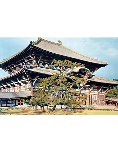 Cultura y Arte en Extremo Oriente - I  eBook