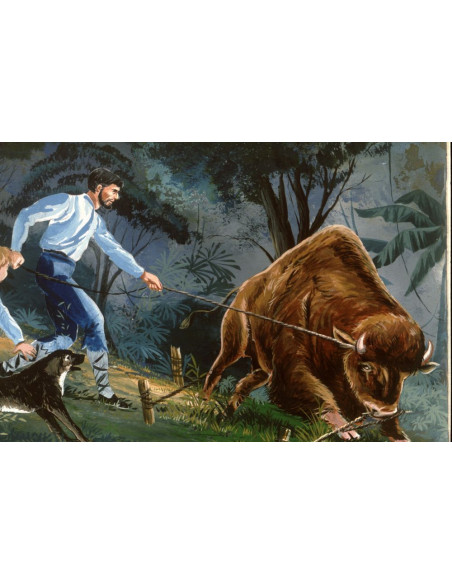 El Robinson suizo  eBook