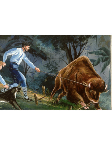 Swiss Family Robinson