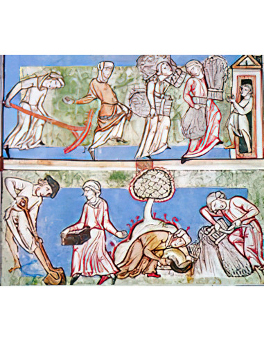 El Feeudalismo y la vida monástica