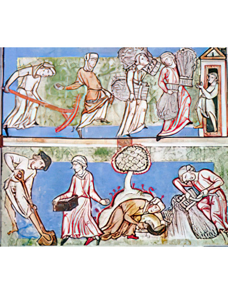 El Feeudalismo y la vida monástica