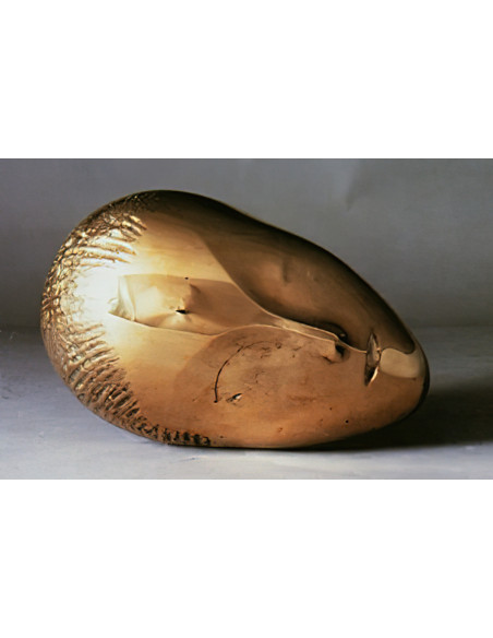 Segunda mitad del Siglo XX